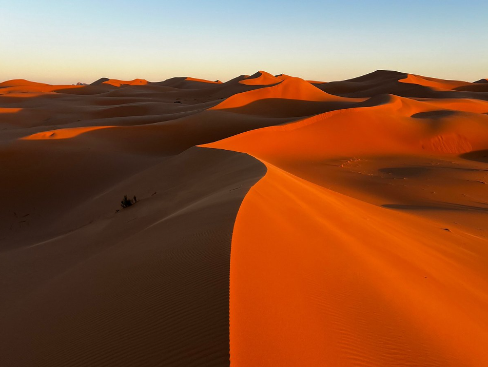 De Nouakchott au Sahara
