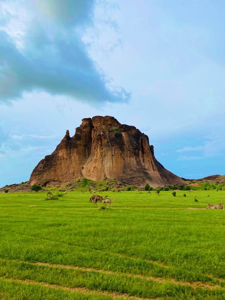 Mauritanie paysage